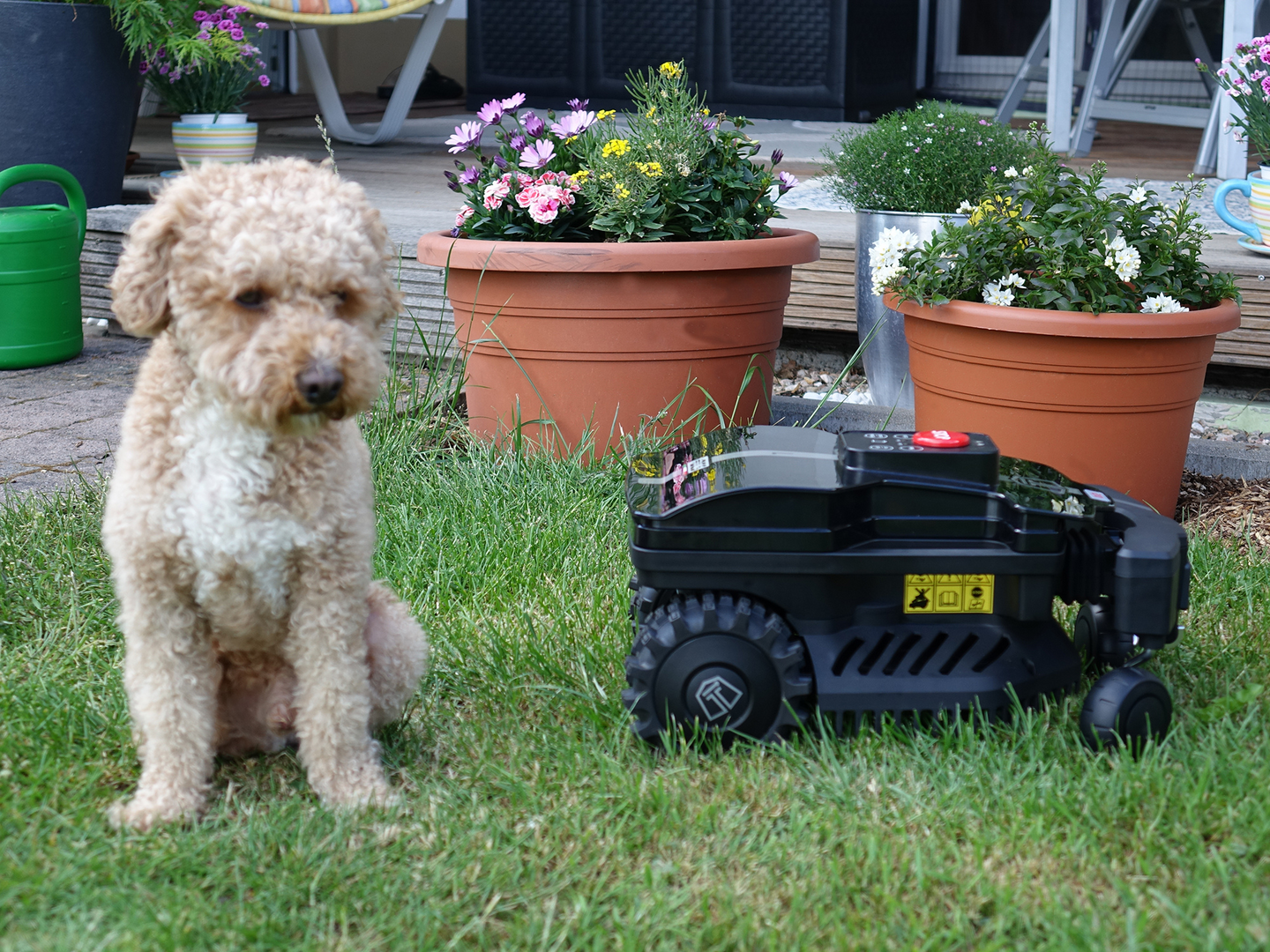 Mähroboter Next Tech DX2 für 700 m² – Starker Gartenhelfer