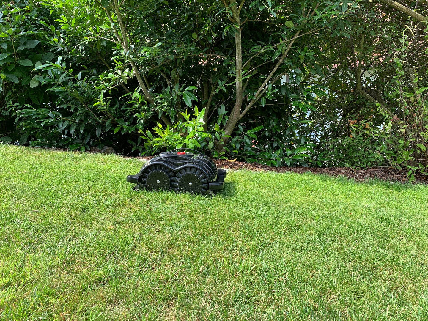 Das Bild zeigt den schwarzen Mähroboter Techline S6, der einen kleinen Abhang hinunterfährt. Im Hintergrund sind Bäume und Gebüsch zu sehen.