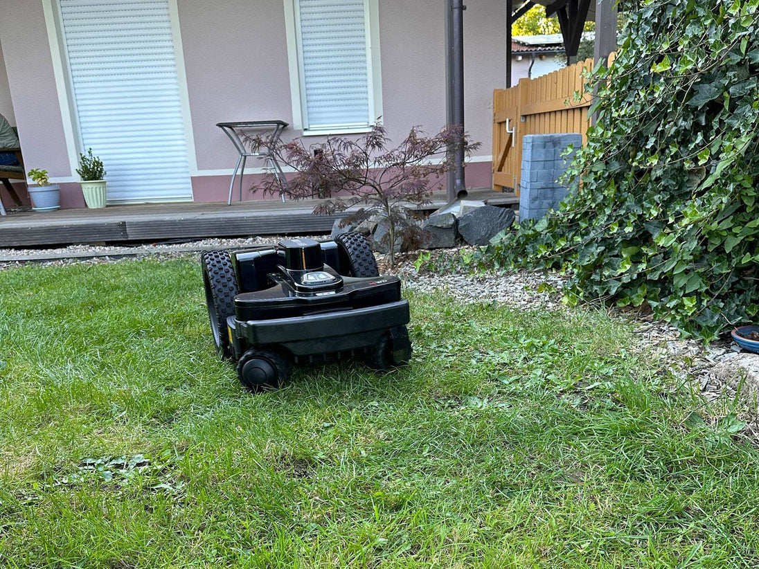Ein schwarzer Mähroboter steht auf einer Rasenfläche in einem gepflegten Garten. Im Hintergrund ist eine Hauswand in hellem Rosa mit weißen Rollläden zu sehen, sowie eine Holzterrasse mit Kiesstreifen. Am rechten Bildrand wachsen Kletterpflanzen und ein kleiner japanischer Ahorn mit rötlichem Laub ist ebenfalls zu erkennen. Der Roboter erscheint kompakt und robust gebaut mit charakteristischen großen Antriebsrädern.