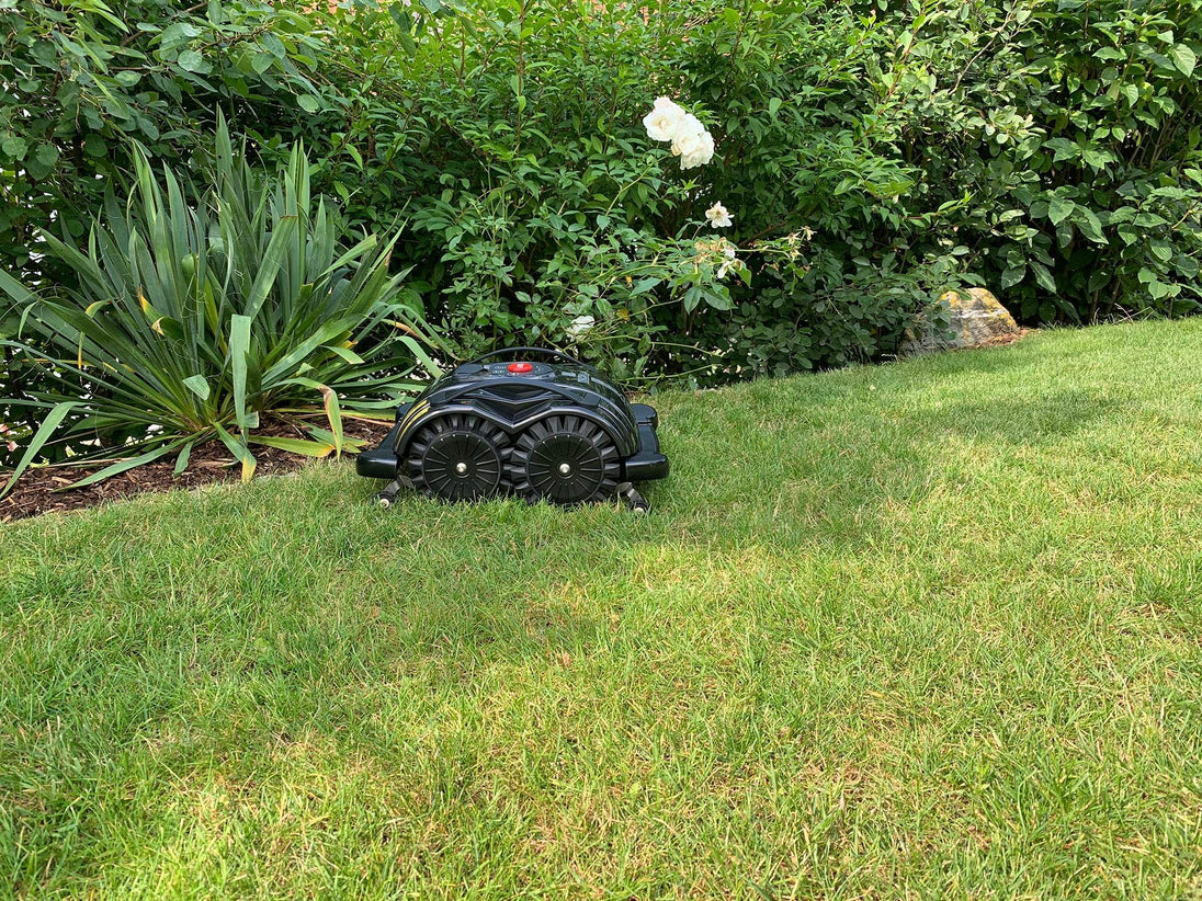 Das Bild zeigt den schwarzen Mähroboter Techline S6, der auf einer Wiese steht und von üppigen Büschen sowie einem Rosenstrauch umgeben ist. Die natürliche Umgebung betont die harmonische Integration des Geräts in den Garten, während die detaillierte Darstellung die Funktionalität und Ästhetik des Mähroboters hervorhebt.