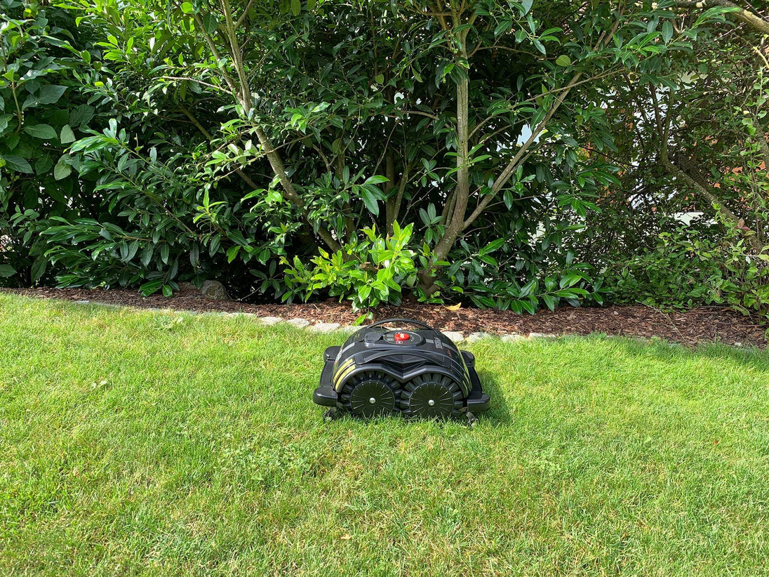 Das Bild zeigt den schwarzen Mähroboter Techline S6, der auf einer Wiese steht und von üppigen Büschen sowie einem Rosenstrauch umgeben ist. Die natürliche Umgebung betont die harmonische Integration des Geräts in den Garten, während die detaillierte Darstellung die Funktionalität und Ästhetik des Mähroboters hervorhebt.