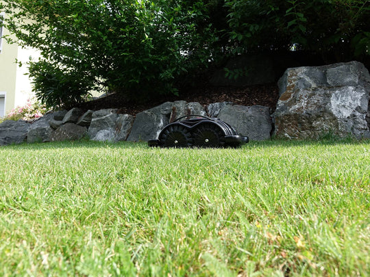 Das Bild zeigt den schwarzen Mähroboter Techline S6, der auf der Grasfläche steht im Hintergrund sind Büsche und eine Steindekoration.