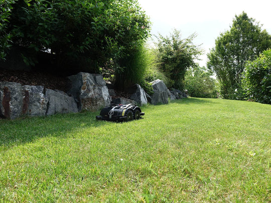 Das Bild zeigt den schwarzen Mähroboter Techline S6, der gerade einen Abhang hinunterfährt.
Im Hintergrund sind Büsche und eine Steindekoration zu sehen, die eine natürliche und gepflegte Gartenatmosphäre schaffen.