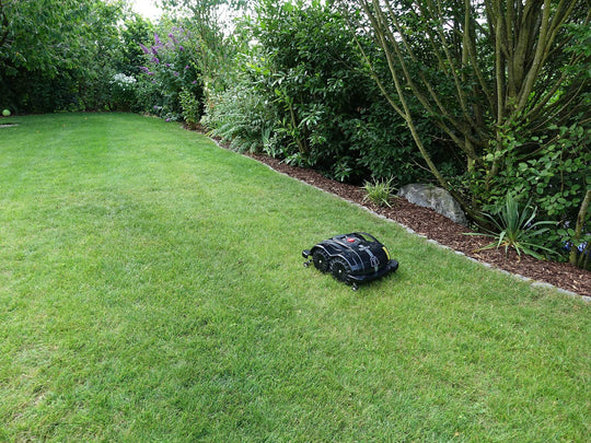 Das Bild zeigt den schwarzen Mähroboter Techline S6, der seine Bahnen auf einer Gartenwiese zieht. Im Hintergrund sind Bäume, Büsche und Rindenmulch zu sehen, die eine natürliche und gepflegte Gartenatmosphäre schaffen. Die Aufnahme unterstreicht die Präzision und Effizienz des Mähroboters bei der Pflege der Rasenfläche.