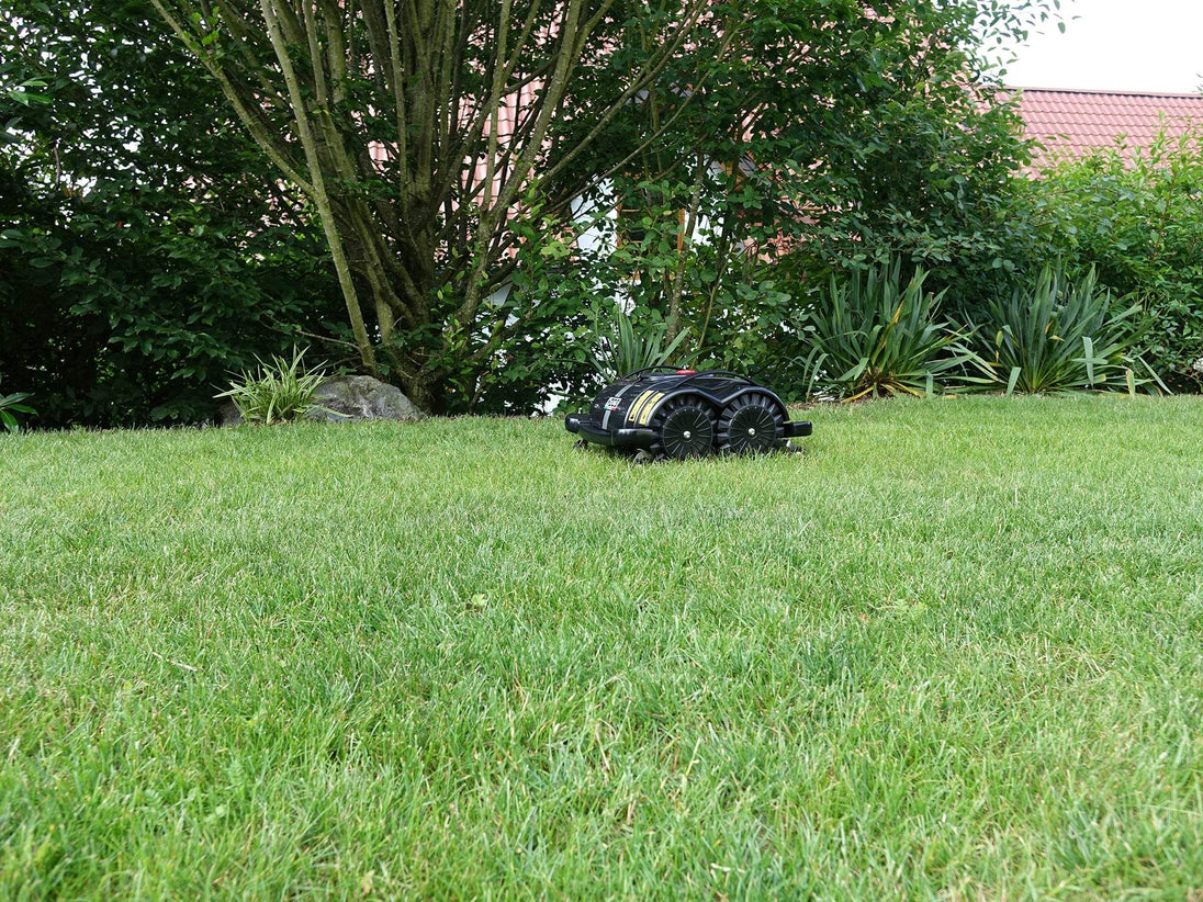 Das Bild zeigt den schwarzen Mähroboter Techline S6, der auf grüner Fläche "Gartenwiese" steht. Im Hintergrund Bäume, Büsche.